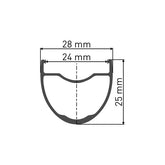 DT Swiss Rim - GR 531 DB SBWT Presta-drilled disc brake